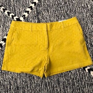 LOFT 4” short